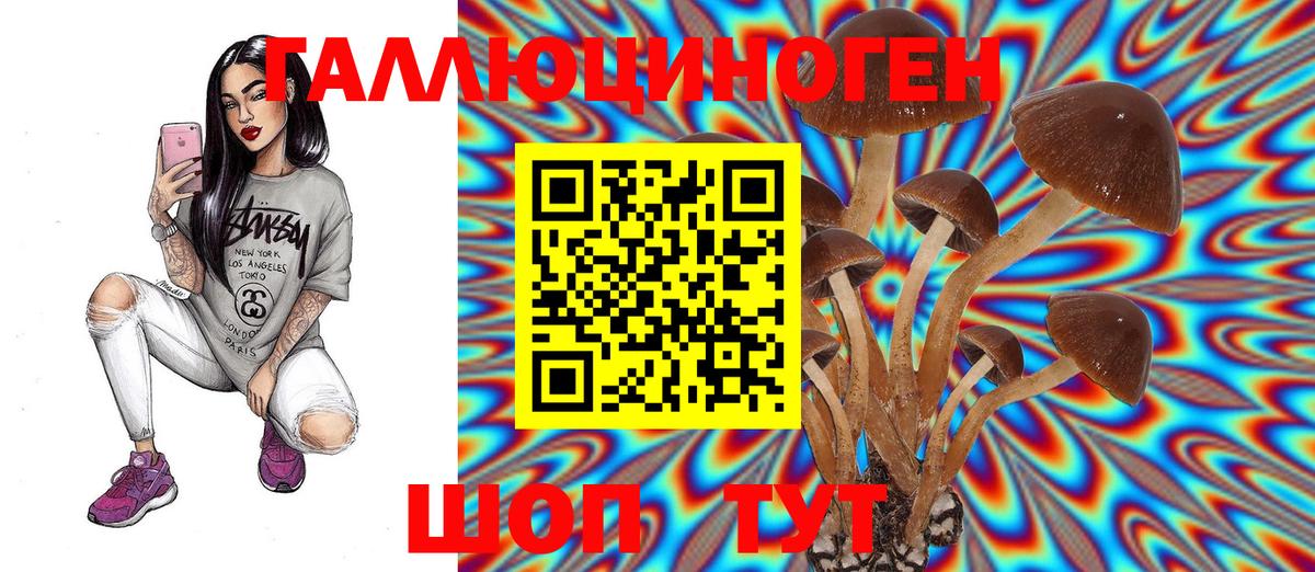 Псилоцибиновые грибы MAGIC MUSHROOMS  Вход с VPN  Санкт-Петербург  Галлюциногенные грибы Cubensis 