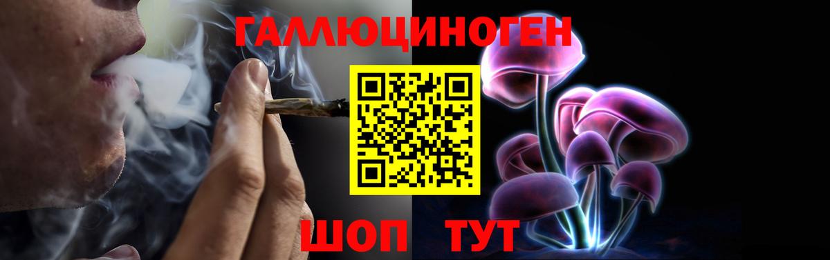 Псилоцибиновые грибы мухоморы Санкт-Петербург